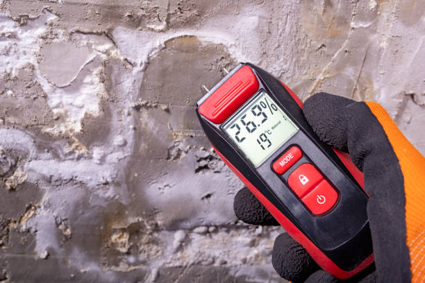Best Home Mold Removal  in Mustang, OK