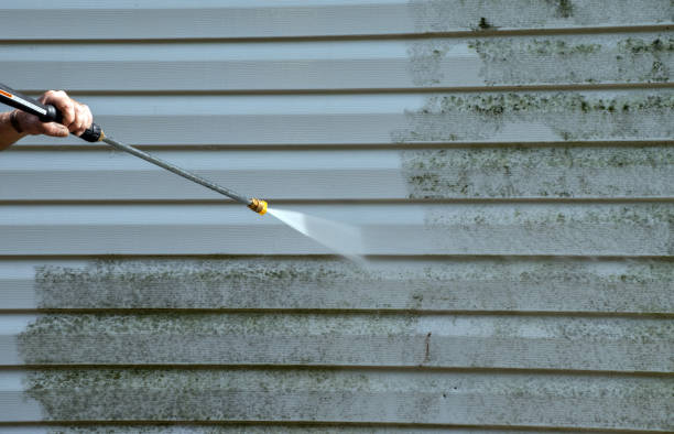 Mold Testing and Removal in Mustang, OK