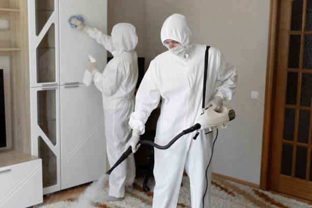 Best Crawl Space Mold Removal  in Mustang, OK