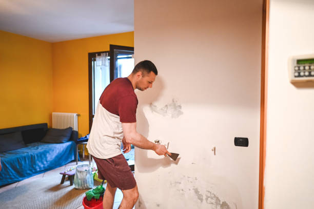 Best Affordable Mold Removal  in Mustang, OK