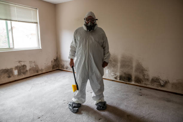 Best Local Mold Removal Service  in Mustang, OK
